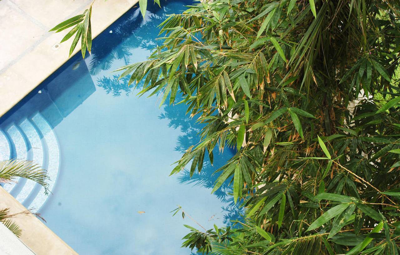 Hotel Chapul Inn أكابولكو المظهر الخارجي الصورة